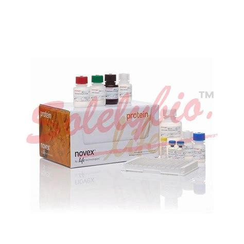 amyloid beta elisa kit rat|invitrogen beta 42 elisa kit.